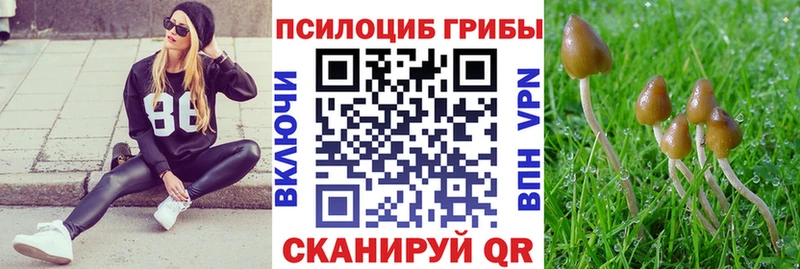 где купить наркоту  Севск  Галлюциногенные грибы мухоморы 